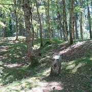 IMG 7120