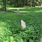 IMG 7128