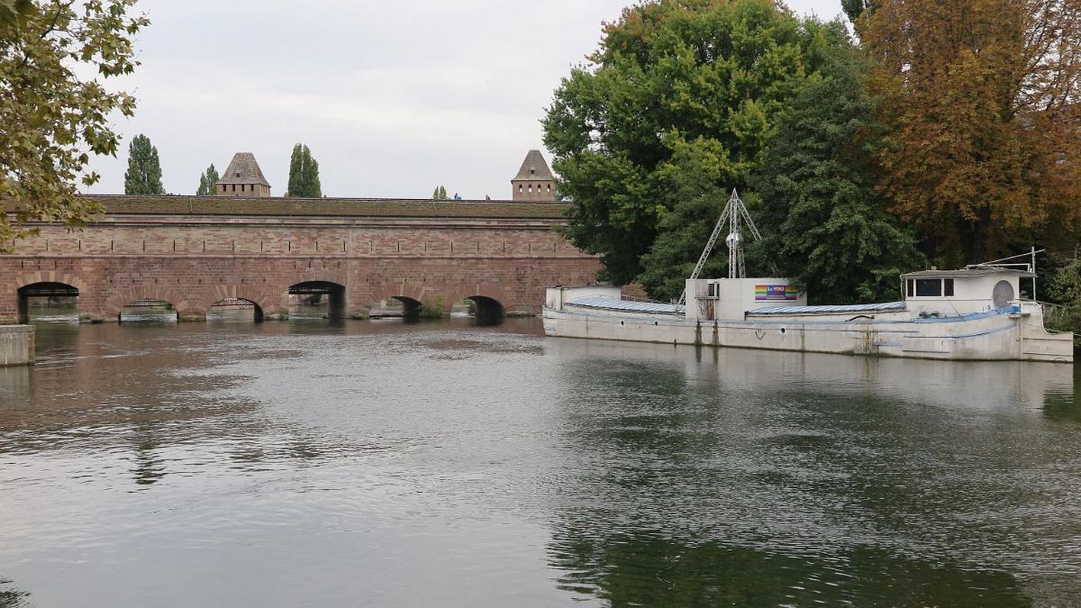 IMG 7623