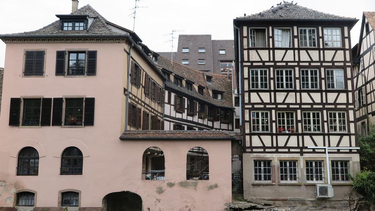 IMG 7652