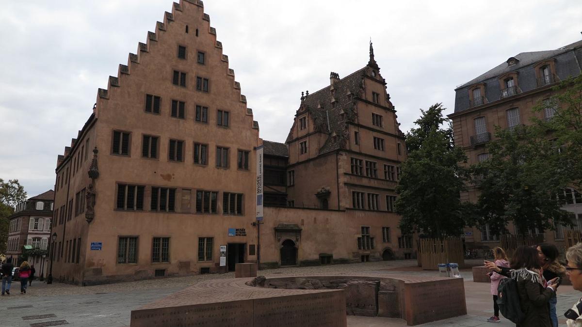 IMG 7718