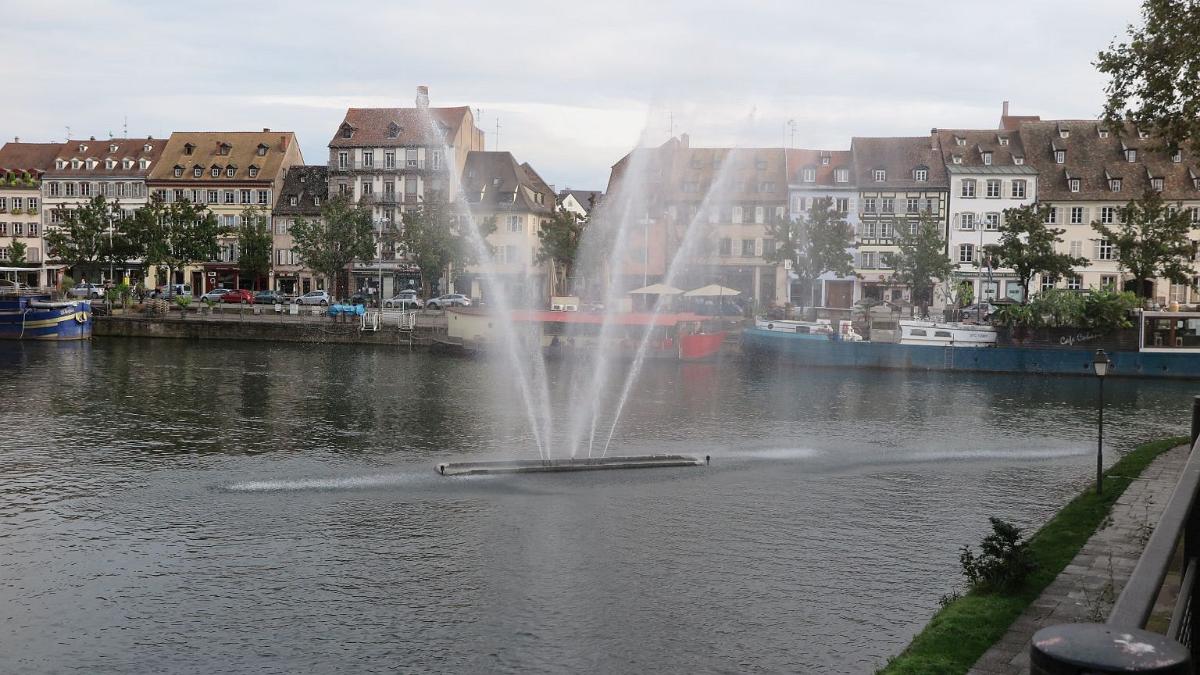 IMG 7765