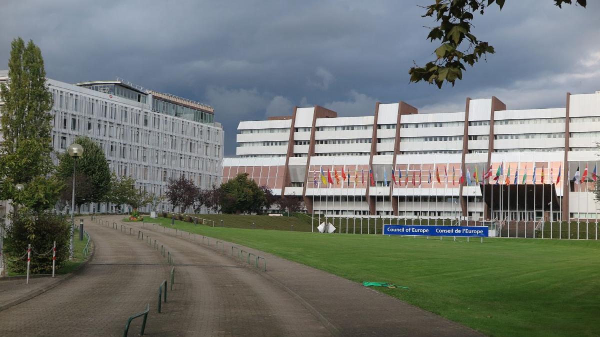 IMG 7774