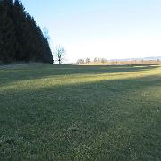 IMG 0113