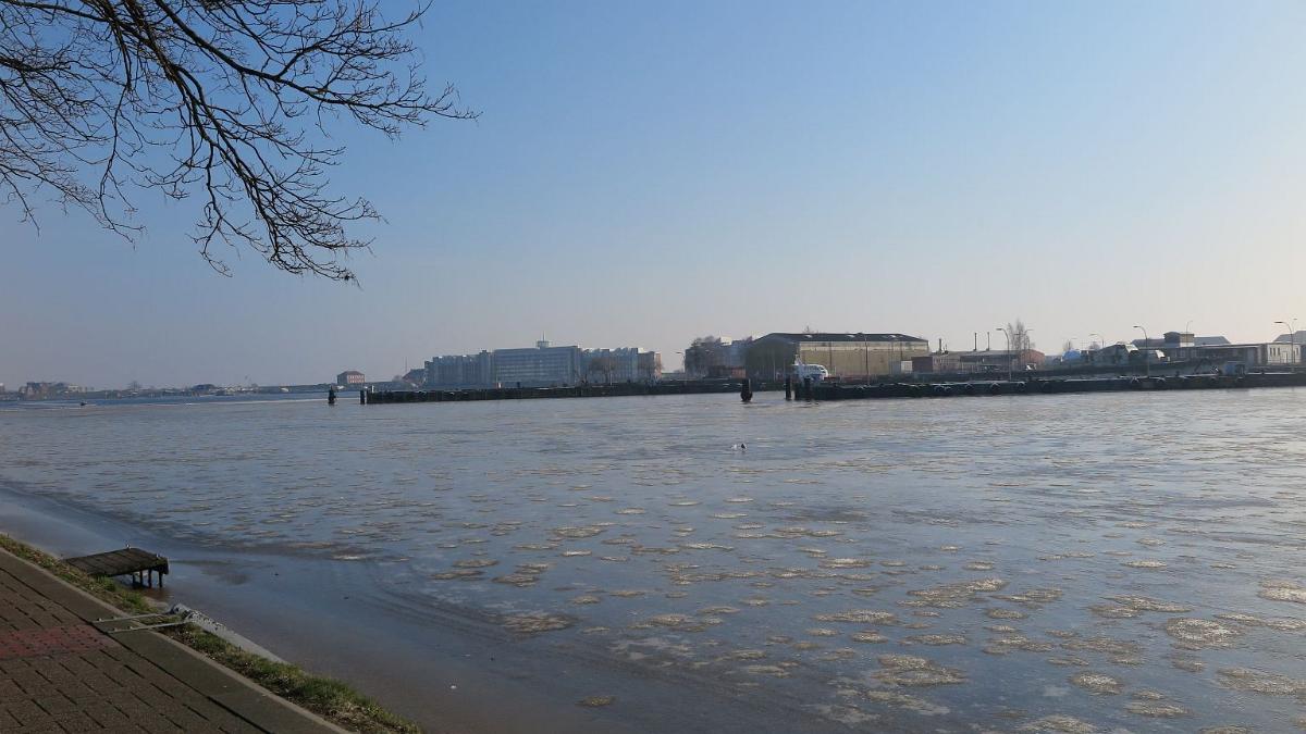 IMG 0217