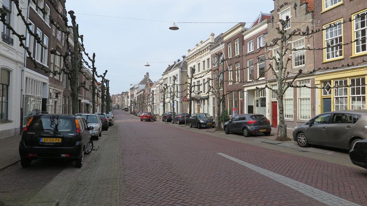 IMG 0932
