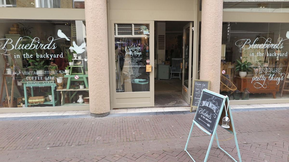 IMG 0951