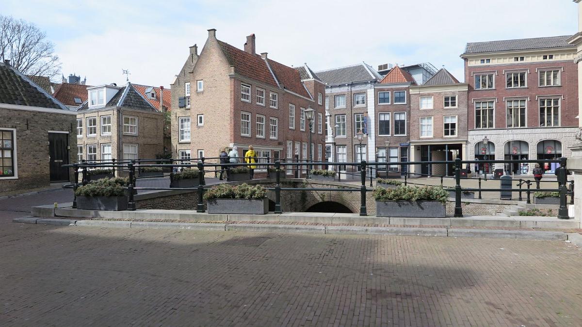 IMG 0952