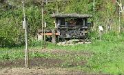 IMG 1417