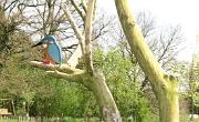 IMG 1424