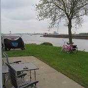 IMG 1453
