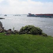 IMG 1457