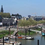 IMG 1480