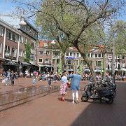 IMG 1491