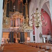 IMG 1511