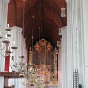 IMG 1516
