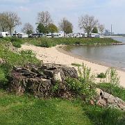 IMG 1523