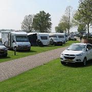 IMG 1531