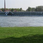 IMG 1545