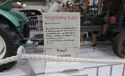 Speyer-Tim- (295)