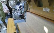 Speyer-Tim- (73)