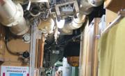 Speyer-Tim- (78)