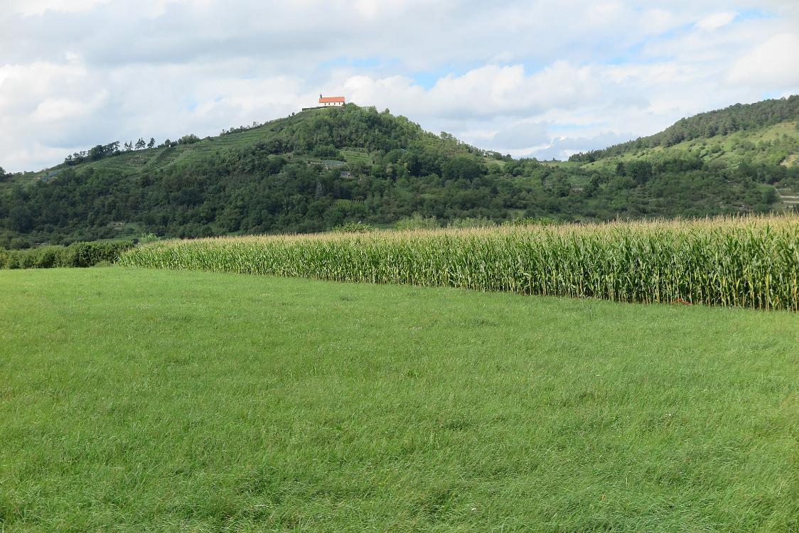 IMG 2763