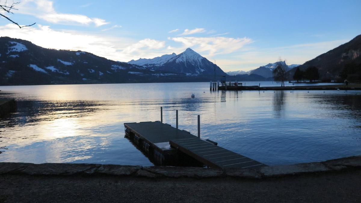 IMG 4986