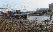 IMG 5140