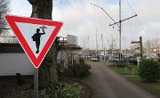 IMG 5164
