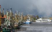 IMG 5262