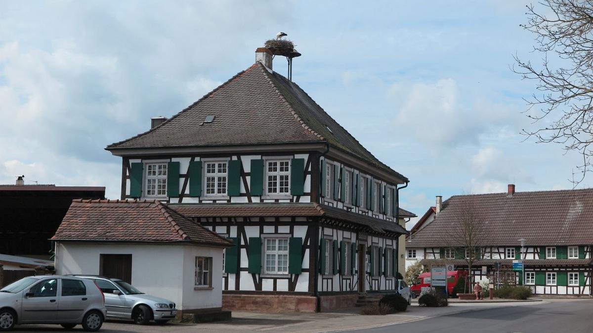 IMG 5467