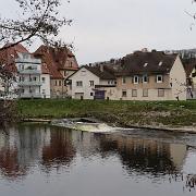 IMG 5447