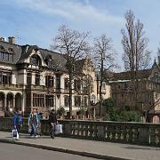 IMG 5504