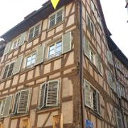 IMG 5526
