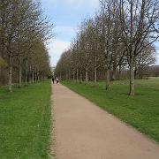 IMG 5558