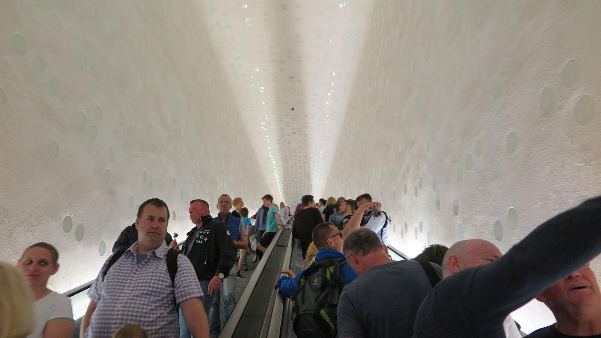 IMG 5651