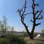 IMG 5599