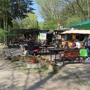 IMG 5605