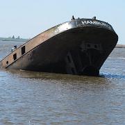 IMG 5614