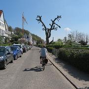 IMG 5627
