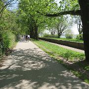 IMG 5628