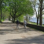 IMG 5630