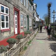 IMG 5631