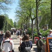 IMG 5633