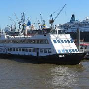 IMG 5642