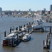 IMG 5665