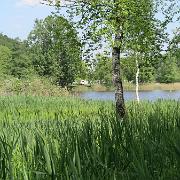 IMG 6207