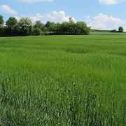IMG 6218