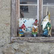 IMG 6220